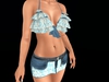 Snapshot 009