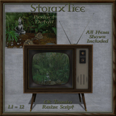 Portland Retro TV Terrarium B4