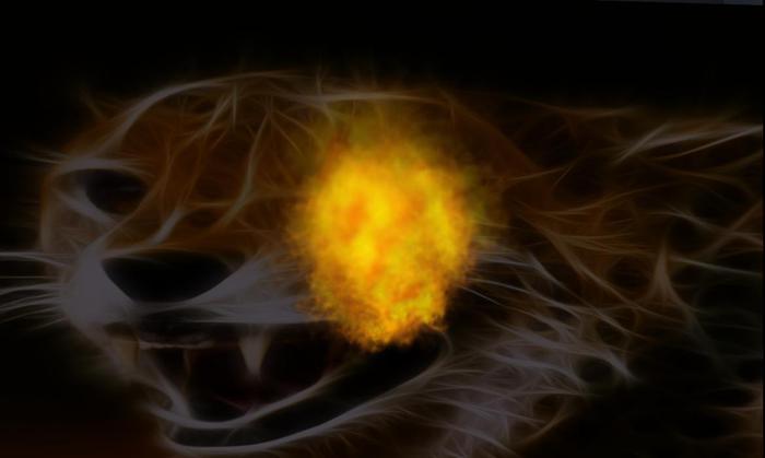 OY! SCRIPT PARTICLE FIRE V.1.0 FULLPERM