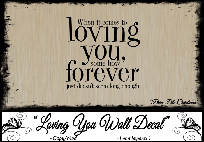 ~PPC~ Loving You Wall Decal
