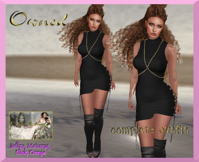 !*Dream Princess*! Owned (box)