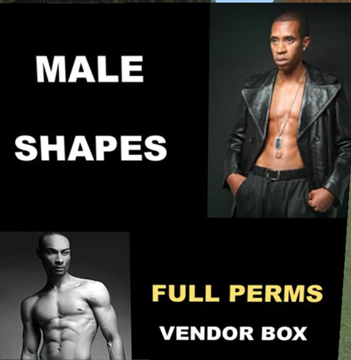 12 Male Shapes