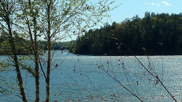 Lake Vision