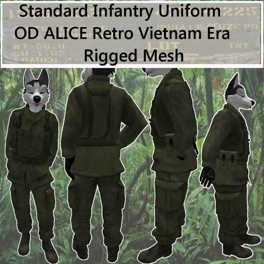 Standard Infantry Uniform