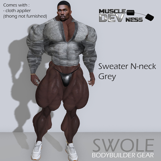 SWOLE - Sweater v-neck grey