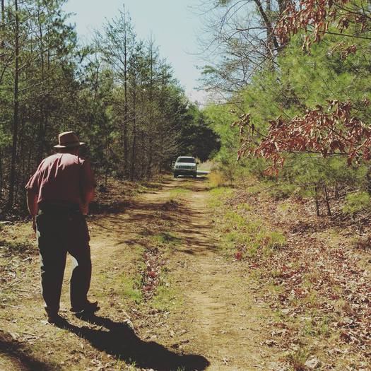 Man Walking