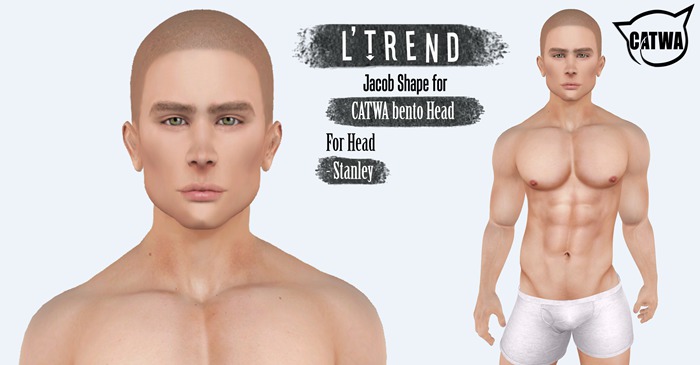 L'TREND - Shape Jacob