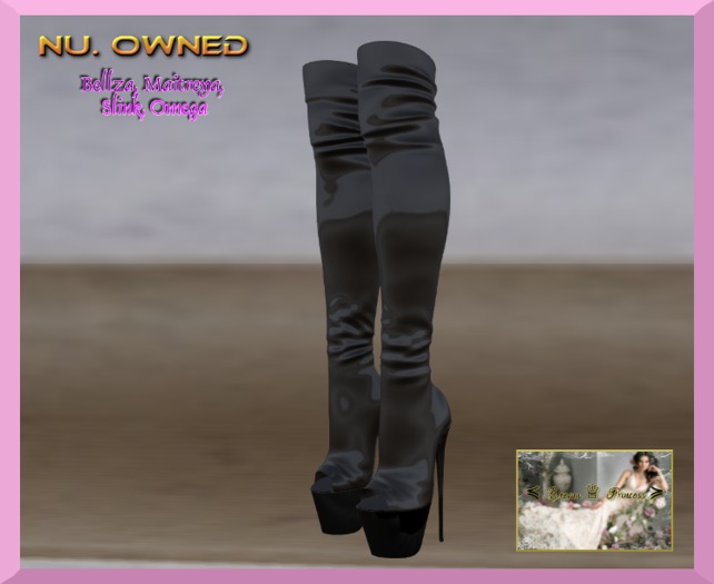 !*Dream Princess*! Nu. Owned Boots
