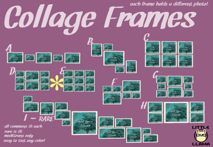 Little Llama - Collage Frames (E) (BOXED)