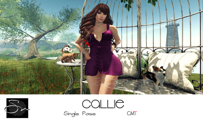 **SN~ Callie