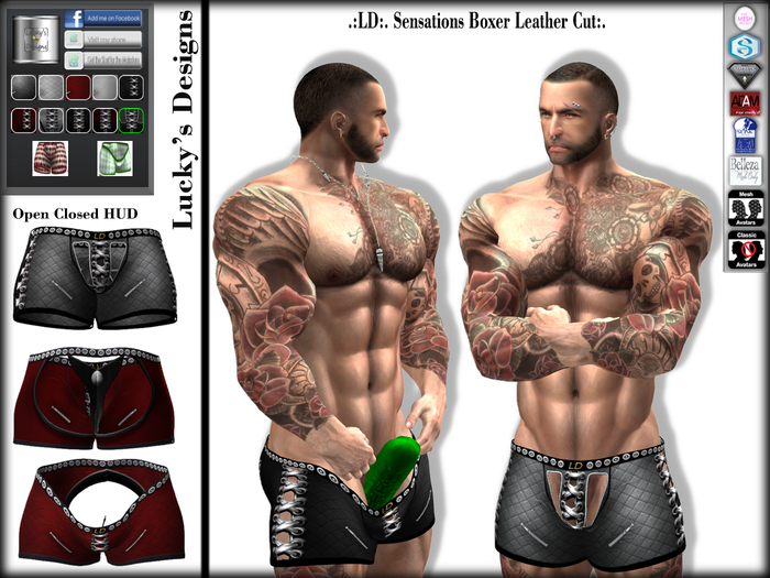 .:LD:. Sensations Boxers Leather Cut:.