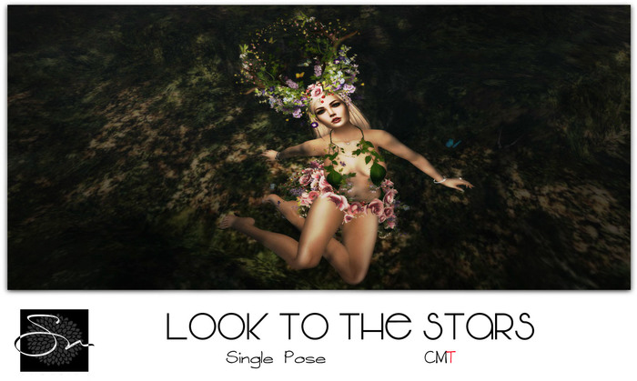 **SN~ Look to the Stars