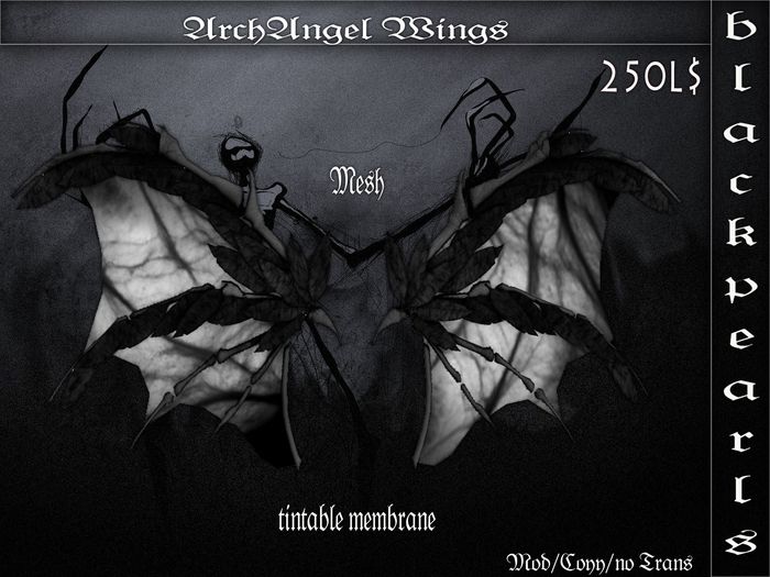 .BP. ArchAngel Wings