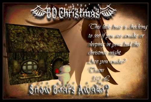 Snow bears awake?