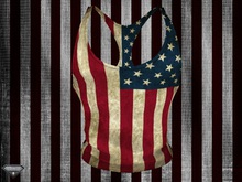 Flawed - Aesthetic American Flag Top