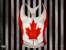 Flawed - Aesthetic Canadian Flag Top