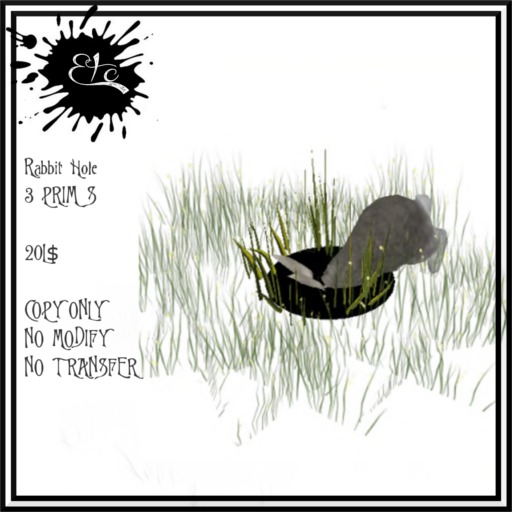ETC RABIBT HOLE