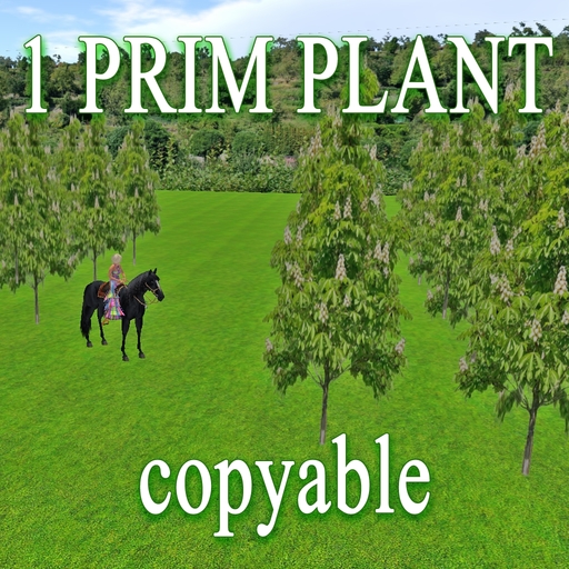 GuTi 1 prim XL Common Horse Chestnut alley