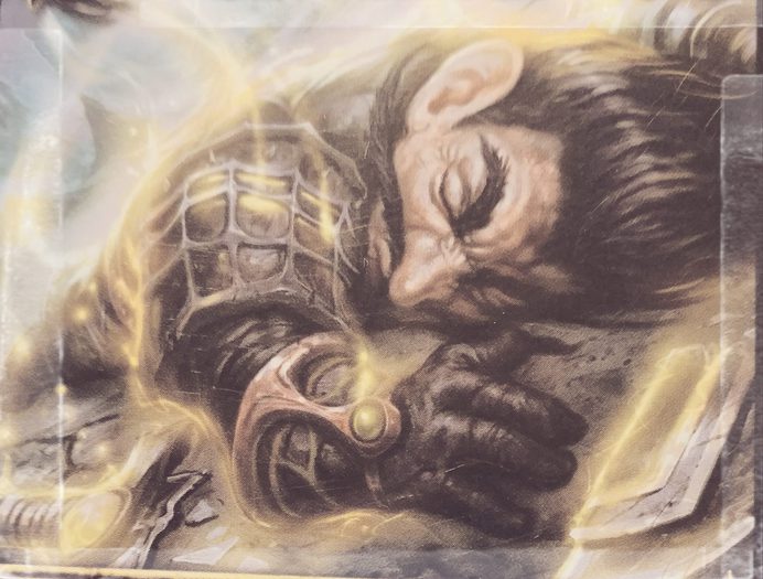 Paladin Down