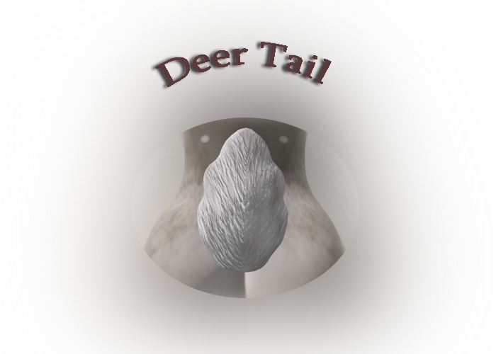 Deer Tail white 
