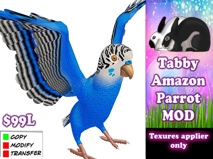 Amazon Parrot - parakeet- Blue & white