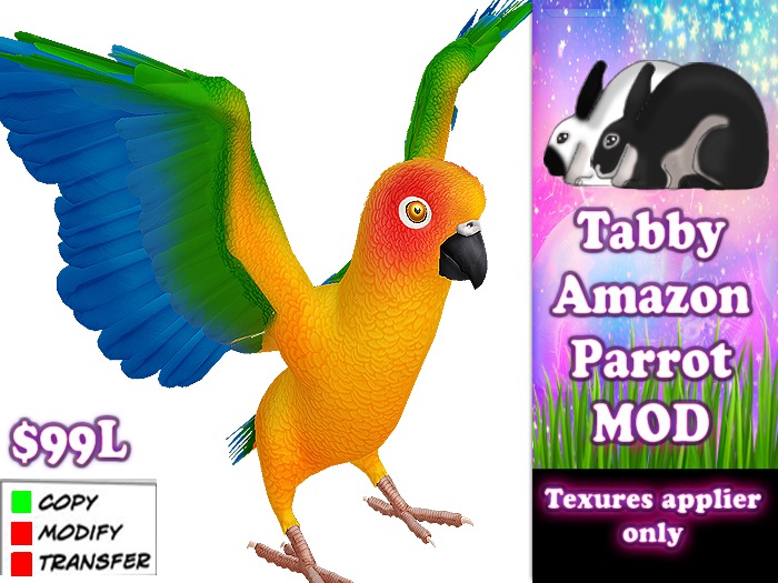 Amazon Parrot - Sun Conure''