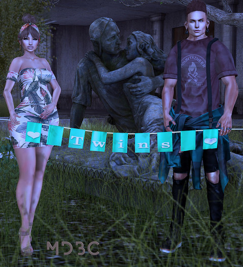 **MDBC* they are twins banderines