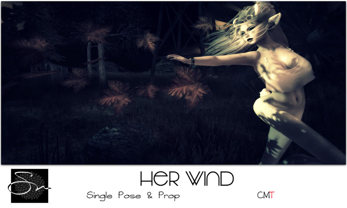 **SN~ Her Wind