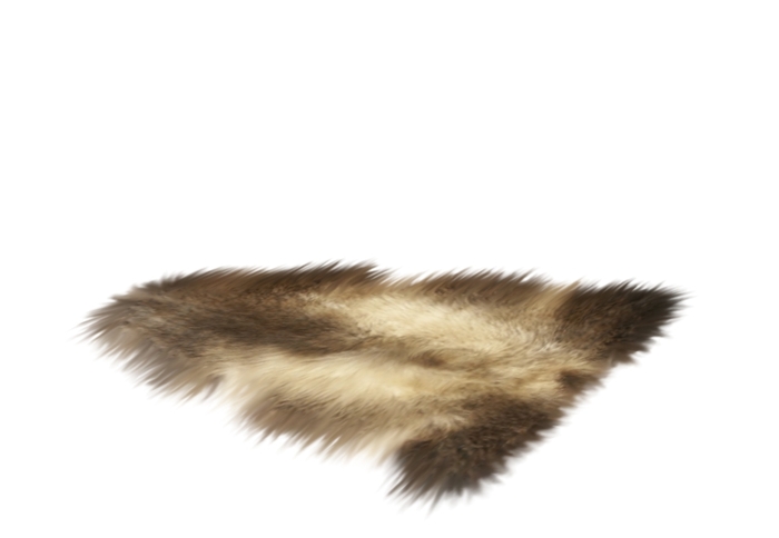 Natural Sheepskin Rug1