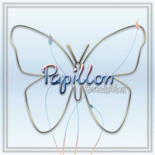{Papillon} [Boxed] 6-Month Bird-Accessory Pair
