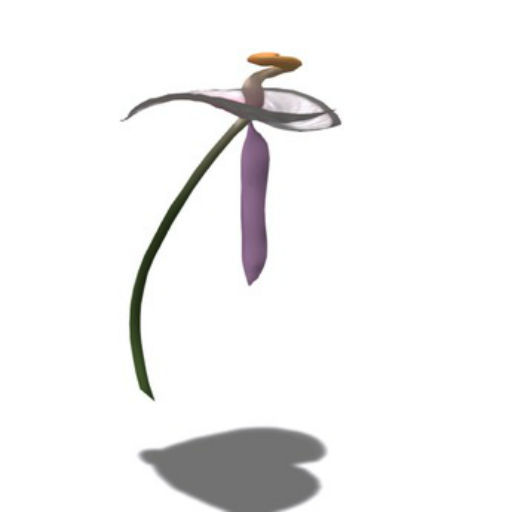 {Papillon} AutumnA Butterfly Starter