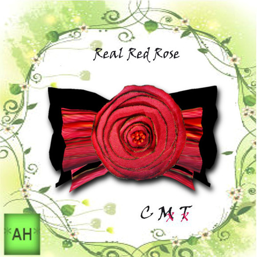 Real red rose (Wear to unpack)
