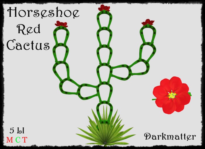 Horseshoe Cactus - Red