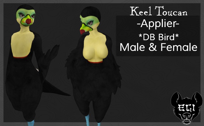 Furry Female Bird