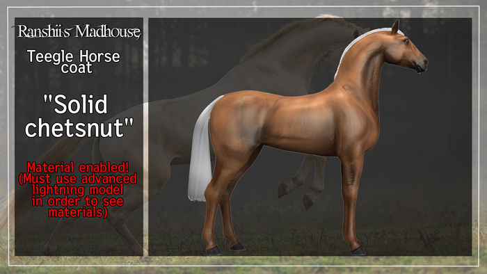 *RMH* Solid Chetsnut Teegle coat