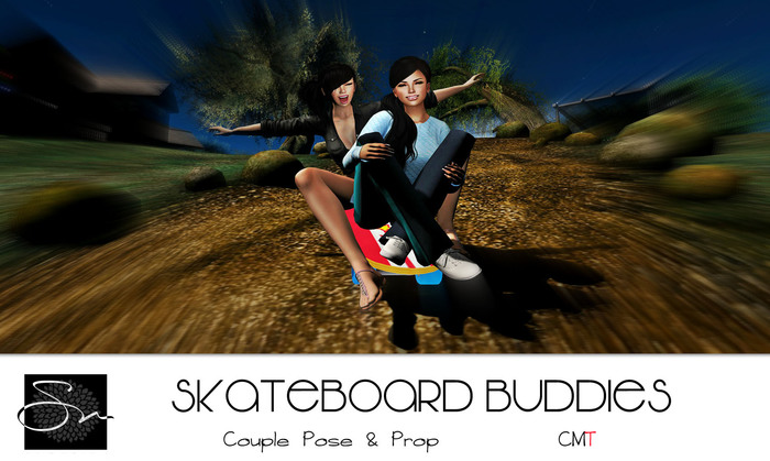 **SN~ Skateboard Buddies