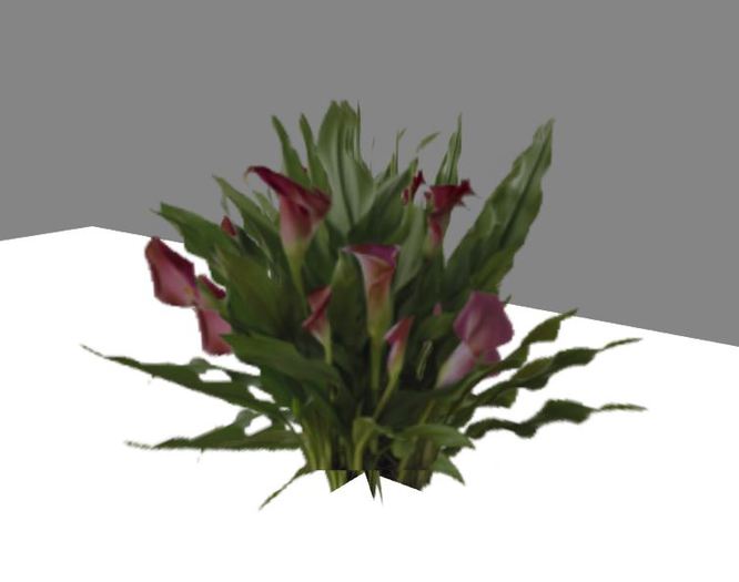 Pink Floral Plant