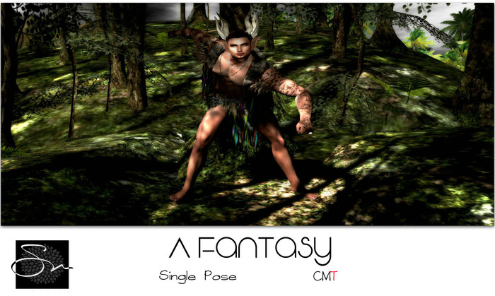**SN~ A Fantasy