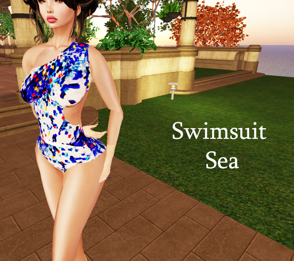 Swimsuit Sea
