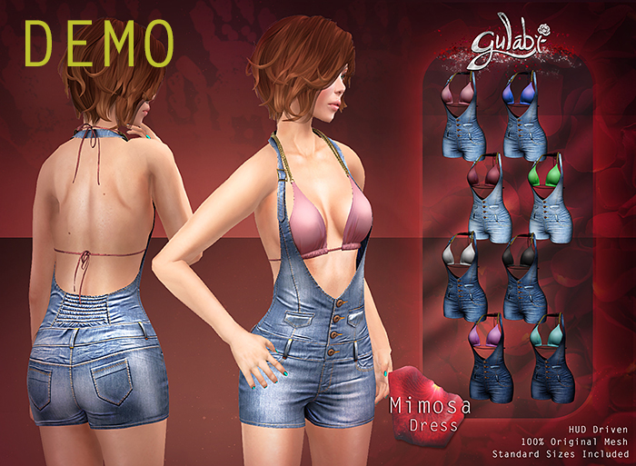 Gulabi [Mimosa] Dress - DEMO