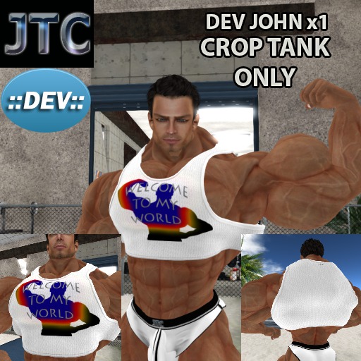 JTC DEV TANK CROP MY WORLD WHITE JOHN x1[CRATE]