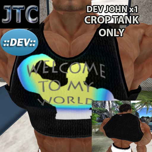 JTC DEV TANK CROP MY WORLD BLACK JOHN x1[CRATE]