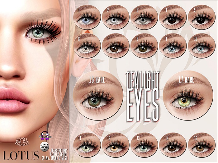 LOTUS: Tealight Eyes 07 BOX