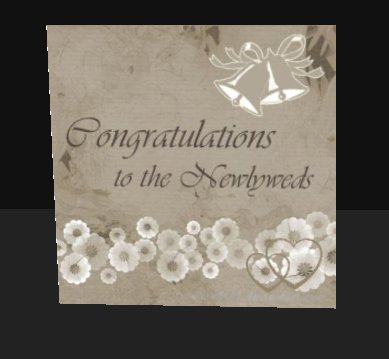 .+.PixelFish.+. Wedding Card Newlyweds