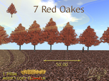 Tree FF 12. Red Oakes in a line by Wild Motley