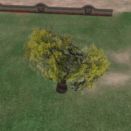 Be a Tree