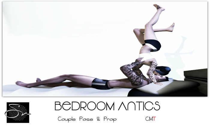**SN~ Bedroom Antics