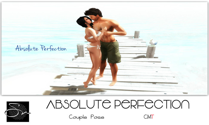 **SN~ Absolute Perfection