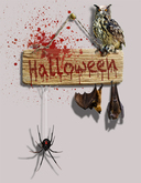 Wall Art Halloween with owl