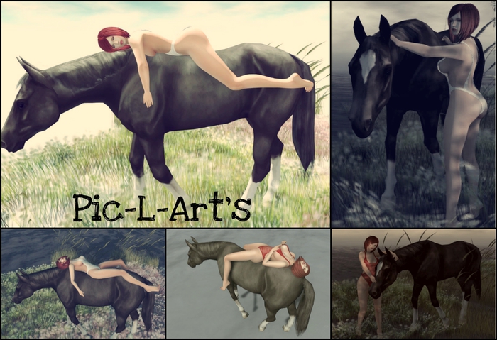 Mon dada...Poses...Pic-L-Art's & Le Cha'Noir